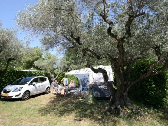 Stellplatz Confort 100m²