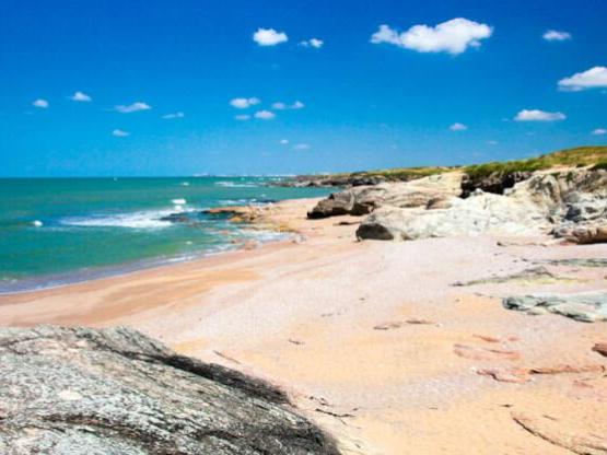 Mobilheim Privilège Noirmoutier - 3 Schlafzimmer