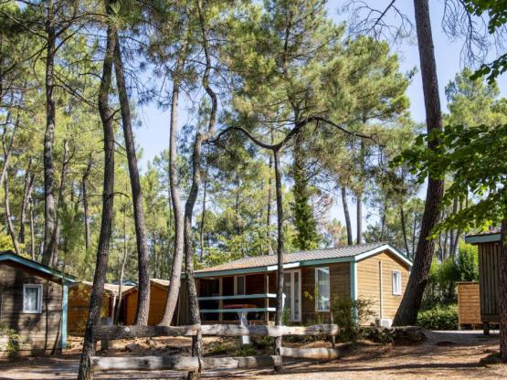 Chalet MIMOSA - 2 Zimmer