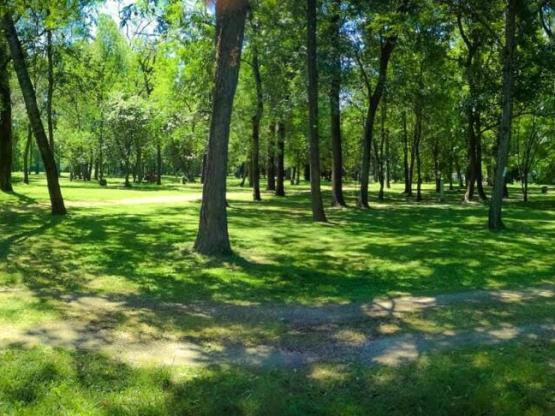 Stellplatz (Zelt, Wohnwagen, Wohnmobil / 1 Auto)