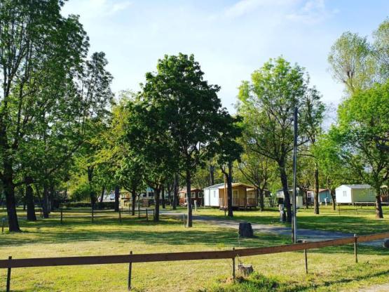 Stellplatz Zelt - Wohnwagen Fahrzeug / Wohnmobil  ohne strom