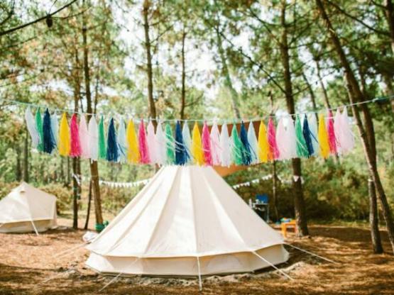 SAFARI : Zeltplatz + Strom