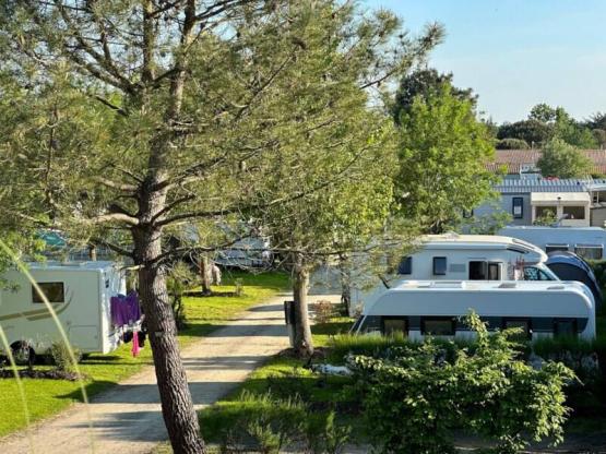 Stellplatz + Fahrzeug (pro Nacht)