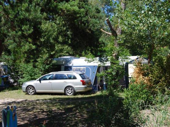 Stellplatz Nature - 10A Strom -