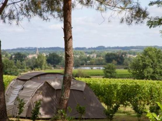 Stellplatz Confort (Zelt, Wohnwagen, Wohnmobil / 1 Auto / Strom 10A)