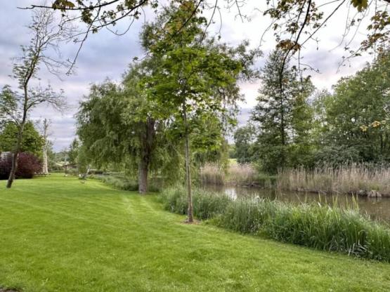 Stellplatz (1 Igloo Zelt + 1 Fahrzeug