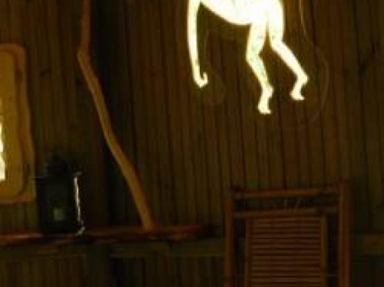 Hütte CHIMPANZES (ab 2 Jahre)