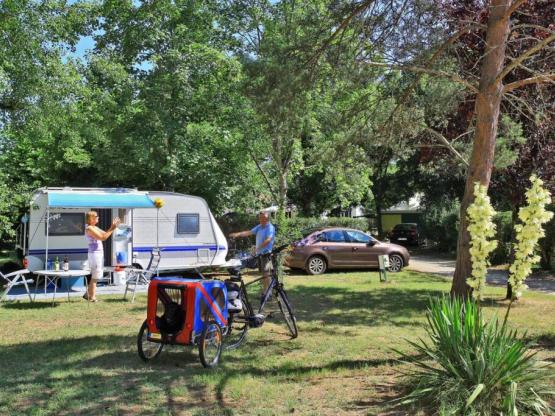 Standplätze mit Schatten und Sonne, begrenzt mit Bäumen und Sträuchern