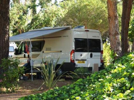 Stellplatz Confort (Zelt, Wohnwagen, Wohnmobil / 1 Auto / Strom 10A)