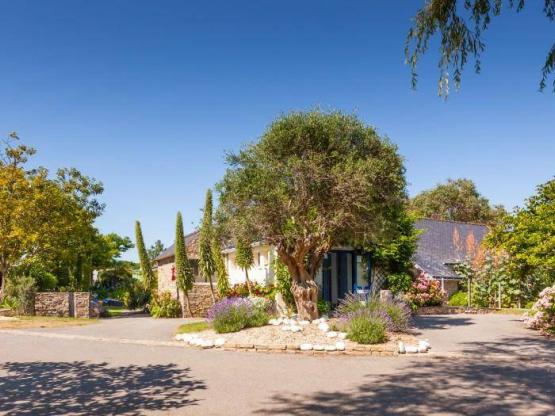 Stellplatz CLASSIQUE PREMIUM