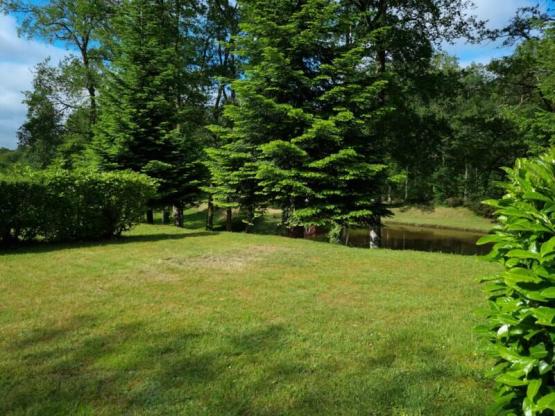 Parcela : coche - tienda/caravana o autocaravana - Electricidad 10A