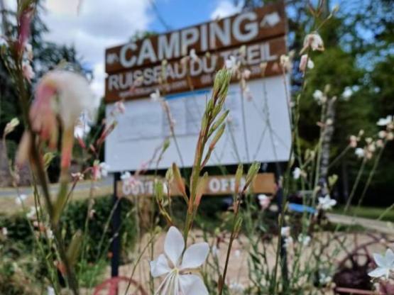 Emplacement de camping pour randonneurs/cyclistes - inclus 1 adulte (sans véhicule)