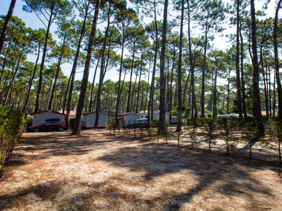 Stellplatz STANDARD 2/6P