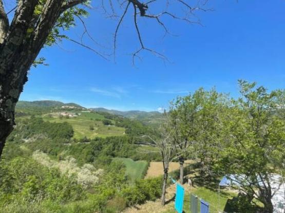 Package 1 or 2 person: Pitch + car + tent or caravan