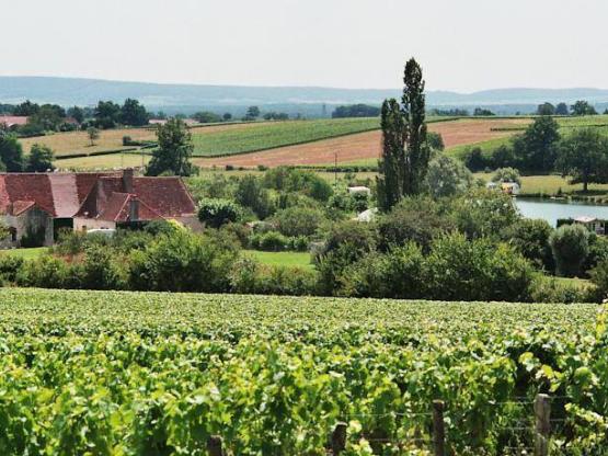 Forfait Camping Card ACSI