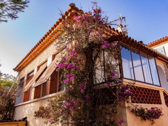 Ferienwohnungen Bougainvillier 44 m² - 3 Zimmer - 2 Schlafzimmer - Klimaanlage