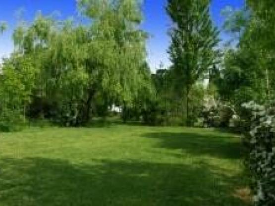 Stellplatz + 1 Auto + Zelt , Wohnwagen oder Wohnmobil +  Strom 10 A