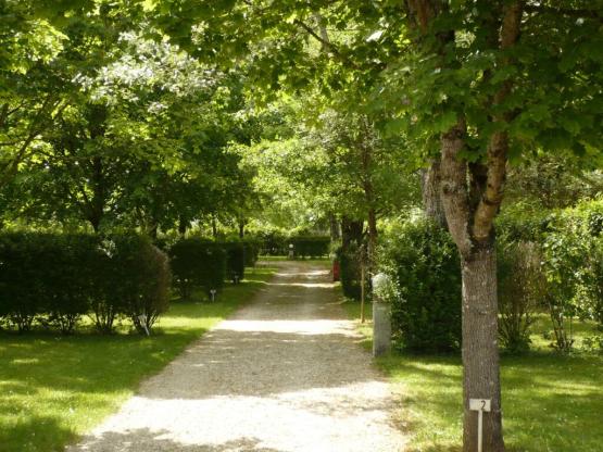 Pauschalpreis (Zelt, Wohnwagen, Wohnmobil / Strom 10A)