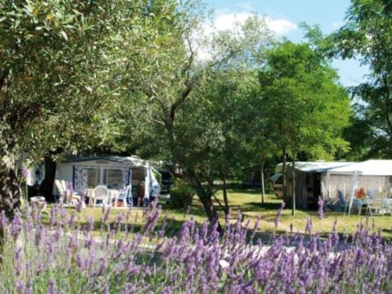 Stellplatz CONFORT, Fahrzeug, Strom 10A