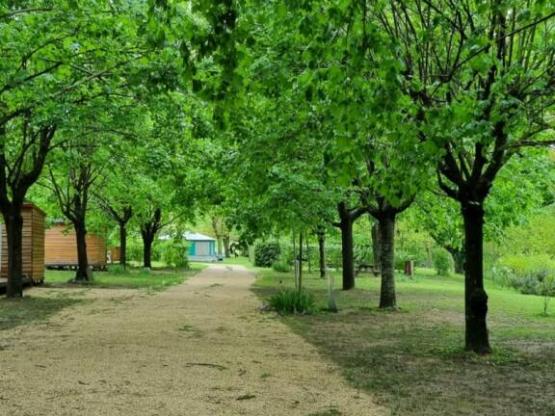 Pauschale: Stellplatz + Auto + Zelt oder Wohnwagen