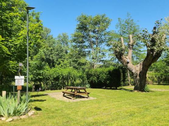 Pauschale: Stellplatz + Auto + Zelt oder Wohnwagen