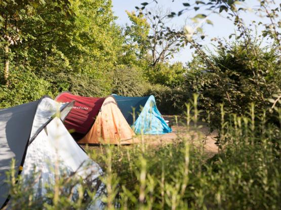 Package Camping mit elektrizität