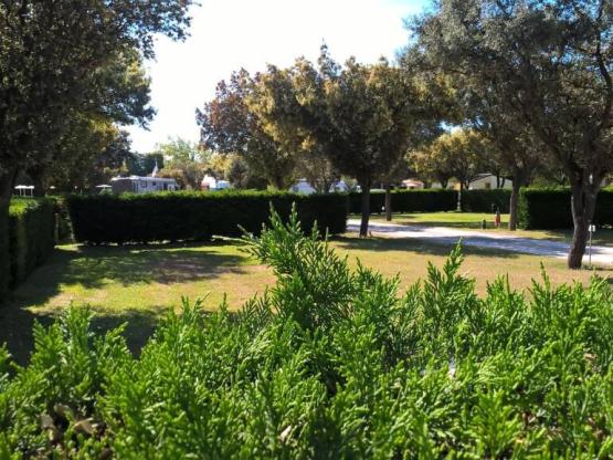 Camping Stellplatz 100m²