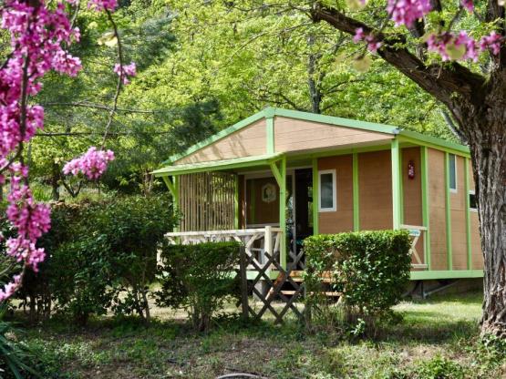 Chalet n°4 Albizia 28 m² confort option TV