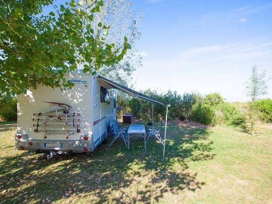 Stellplatz Confort (Zelt, Wohnwagen, Wohnmobil / 1 Auto / Strom 6A)