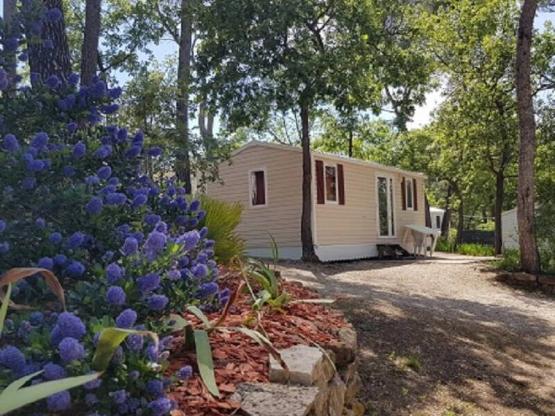 Mobilheim Confort DOMINO