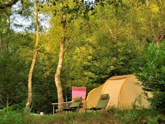Stellplatz Nature (Zelt, Wohnwagen, Wohnmobil ohne Strom / 1 Auto)