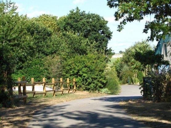 Stellplatz + Zelt oder Wohnwagen + auto