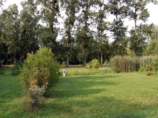 Stellplatz ECO - 120 m² - 2 Erwachsene und 1 Fahrzeug