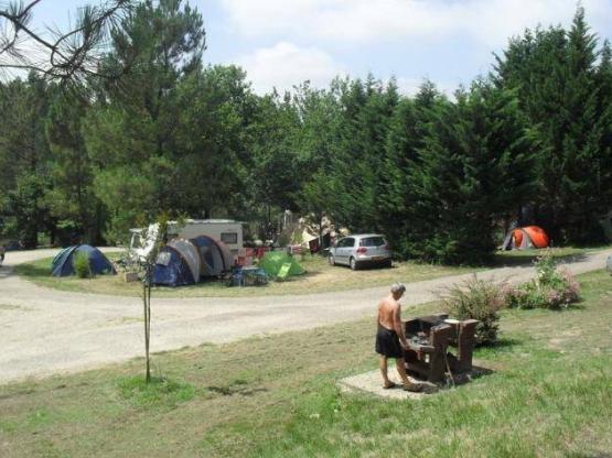 Camping pitch Nature with electricity 6 A included - 80 à 100 m² for tente or caravan only