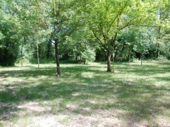 Standplaats + kampeerauto + elektriciteit