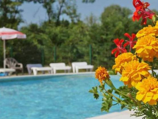 Lodge Freeflower Standard 37m² (2 zimmers) - überdachte Terrasse