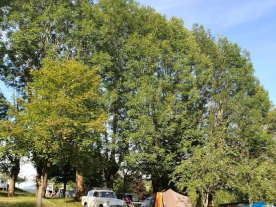 Zelt, Wohnwagen, Mini-Van, ausgerüsteter LKW, Motorrad