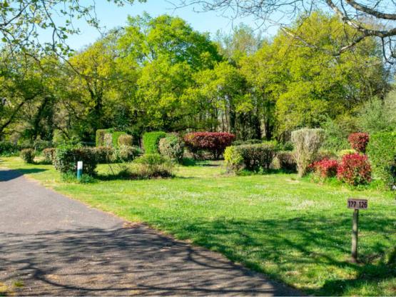 Stellplatz 1 Wohnwagen oder 1 Zelt + Strom + Fließwasser- und Abwasser + 1 Auto -