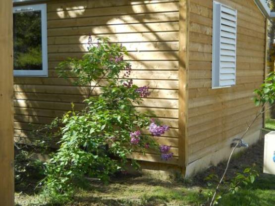 Mobilheim  Gentiane 28m²