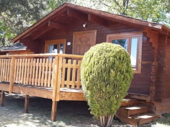 Chalet 24m² - 1 Zimmer / Halbüberdachte Terrasse