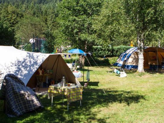 Stellplatz Nature (ohne Strom) (Zelt, Wohnwagen + 1 Auto, Wohnmobil)