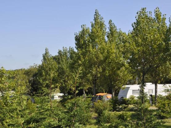 Stellplatz, Fahrzeug