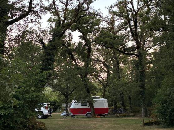 Campingplatz KOMFORT - Strom