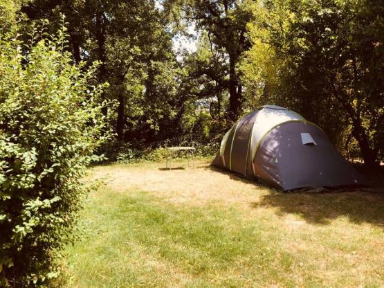 Pakket Wandelaar (fiets / 1 tent zonder elektriciteit )