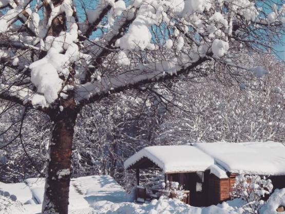 7.CHALET BOIS MONTAGNE 35m² mit behindertengerechtem Zugang und Terrasse *