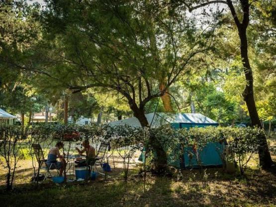 Stellplatz CONFORT (~80 m²)