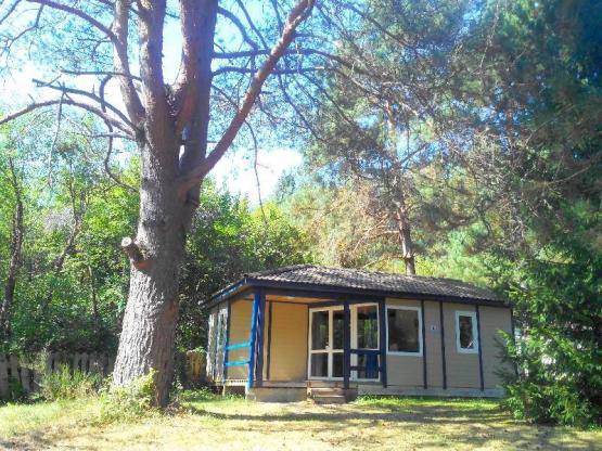 Ruime chaletbungalow