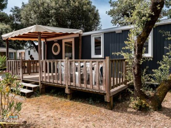 Mobilheim Confort (3 Zimmer) 31m² + Terrasse 15m²