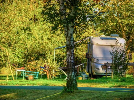 200m² Privilege Stellplatz - 2 Personen mit Strom