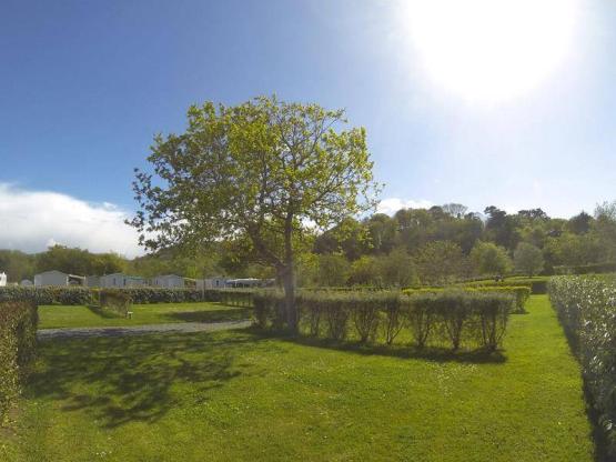 Stellplatz Komfort (Zelt, Wohnwagen, Wohnmobil / 1 Auto / Strom 16A)